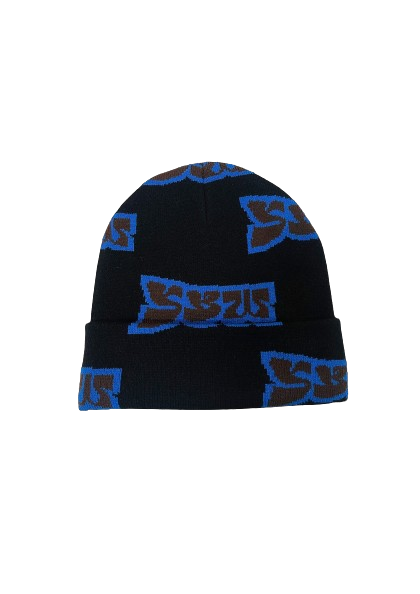 OG BEANIE MULTI
