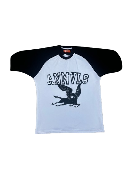 PEGASUS TWO-TONED SHIRT