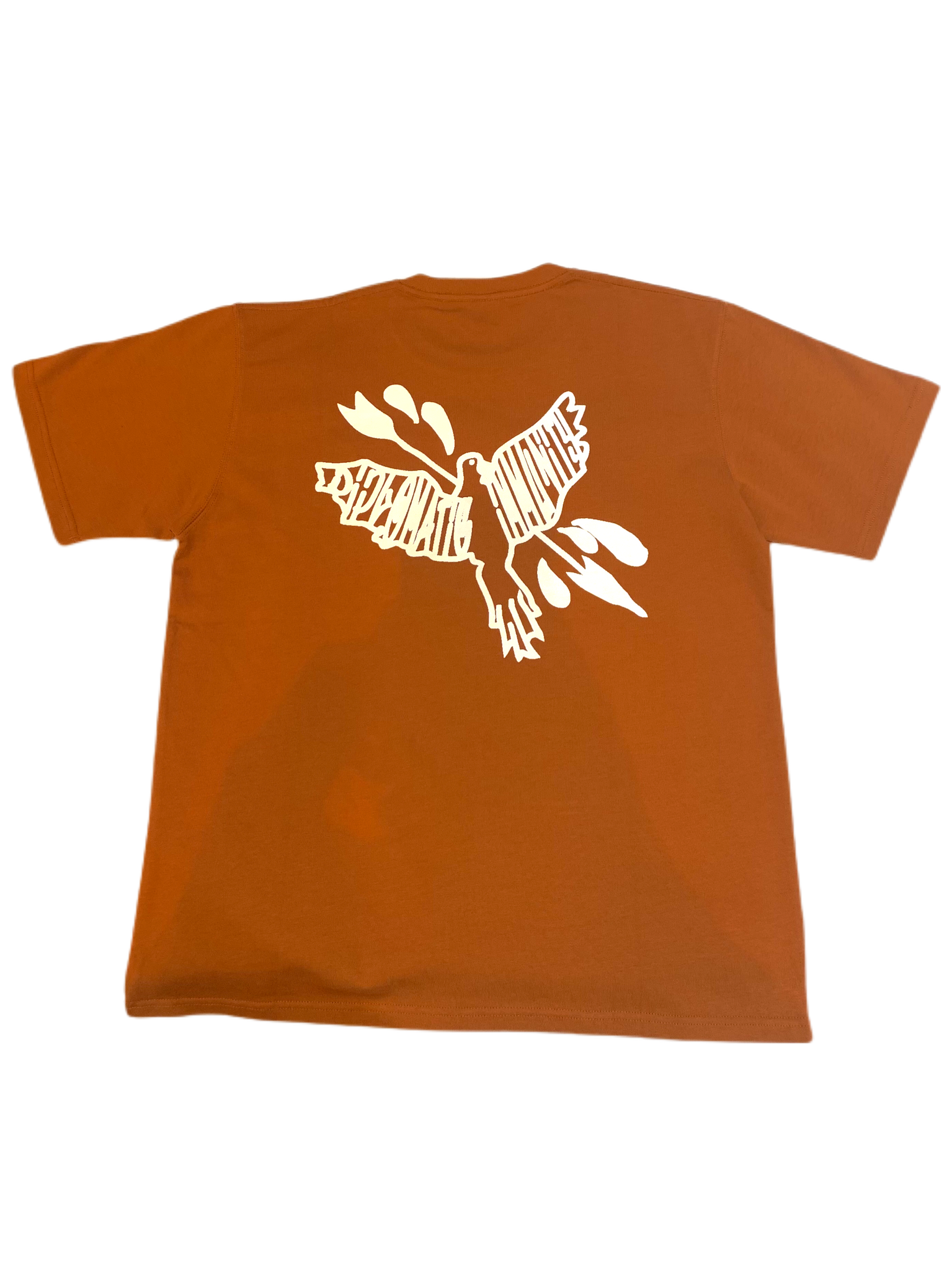 Saints Diplomatic Tees